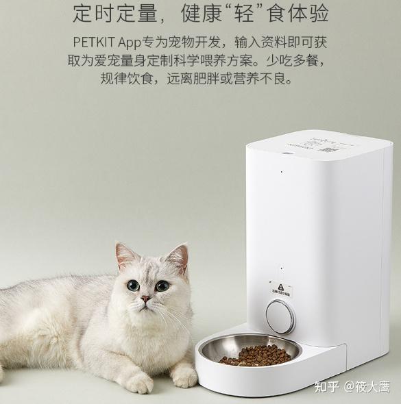 远程控制宠物喂食器_宠物服务行业_智能宠物喂食器