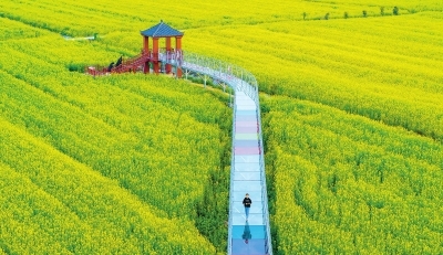 城乡融合发展_乡村振兴_中国超大城市名单