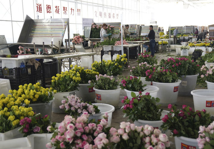 十四五规划高质量发展_中国超大城市名单_中国经济韧性增长分析