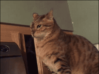 游戏与女孩子的选择_小伙子错了怎么让女孩子开心呢?_游戏比女孩子好玩