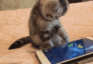 游戏比女孩子好玩_小伙子错了怎么让女孩子开心呢?_游戏与女孩子的选择