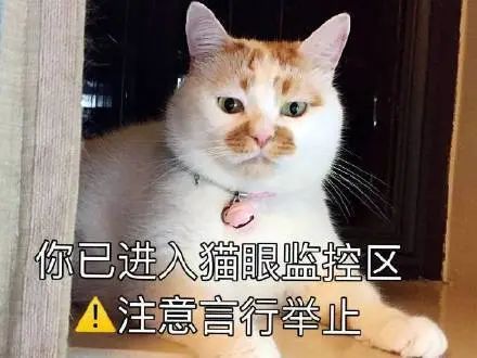 游戏比女孩子好玩_小伙子错了怎么让女孩子开心呢?_游戏与女孩子的选择