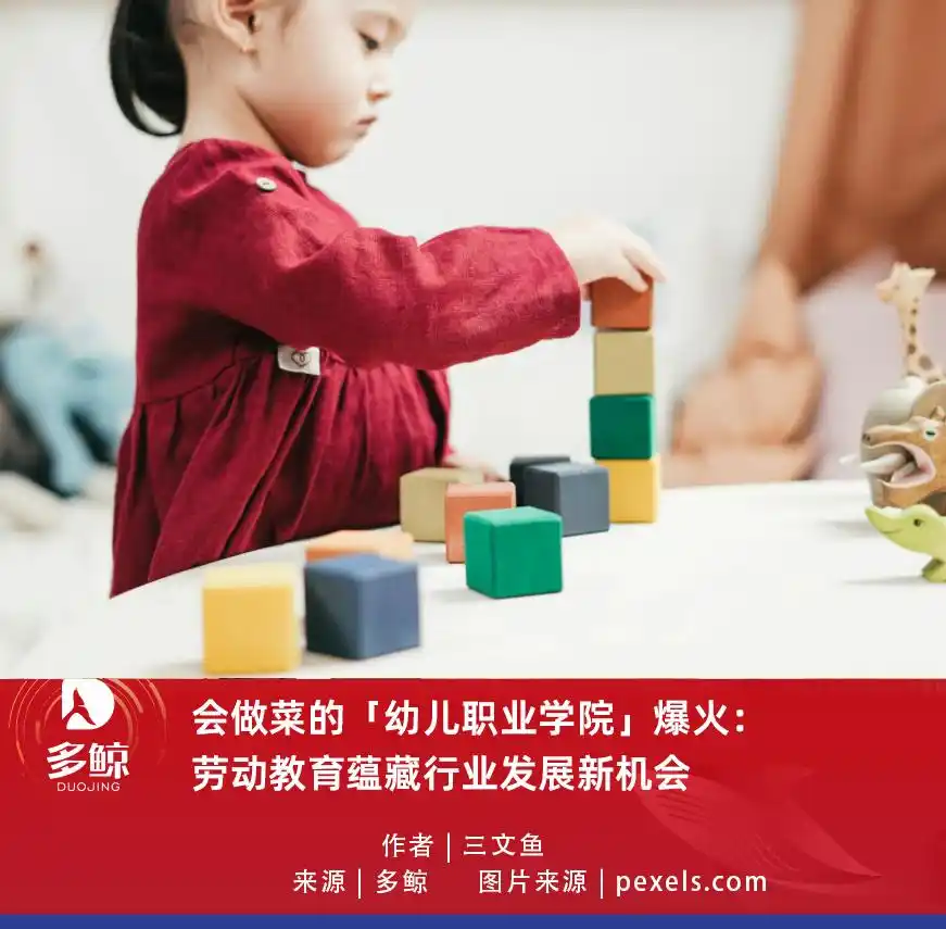 会做菜的「幼儿职业学院」爆火：劳动教育蕴藏行业发展新机会