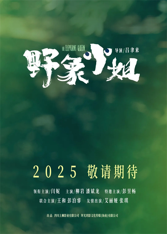 1905电影网2025年电影前瞻_2025年值得期待的100部华语新片_最近新上的电影有哪些