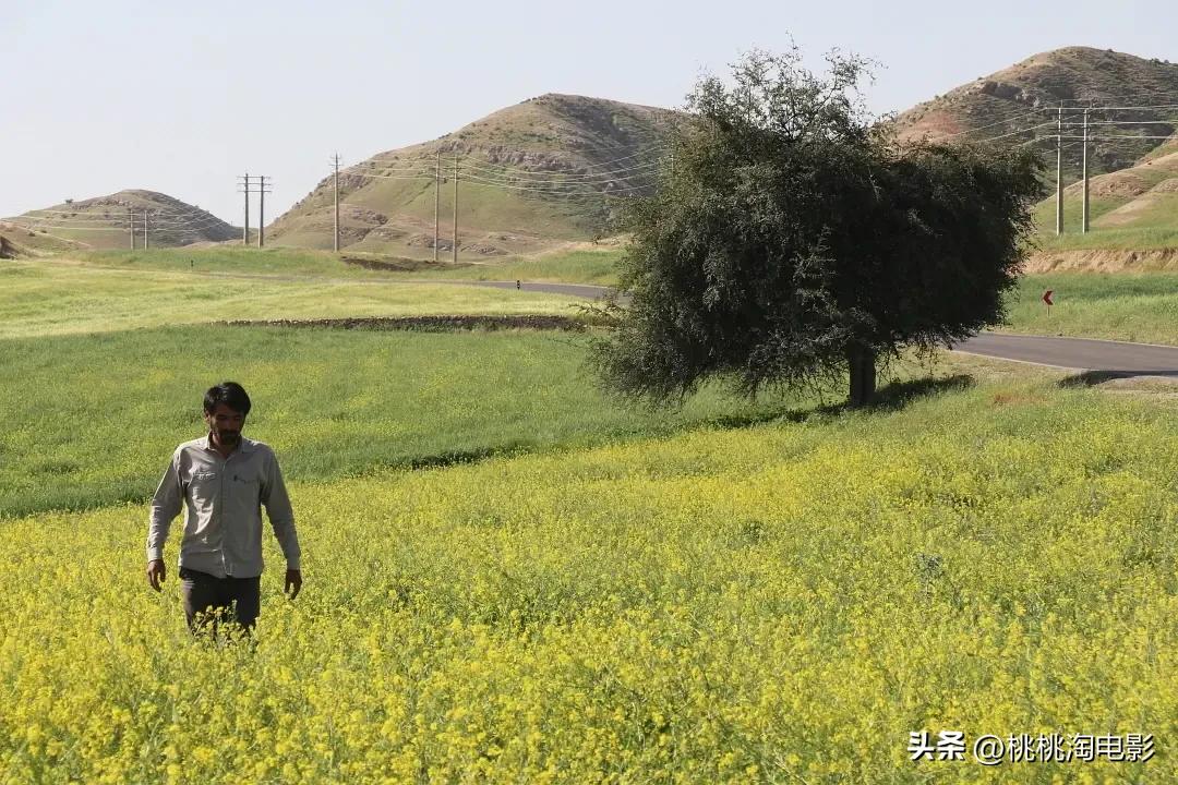 内地院线票房排名_新片口碑榜推荐_最近新上的电影有哪些