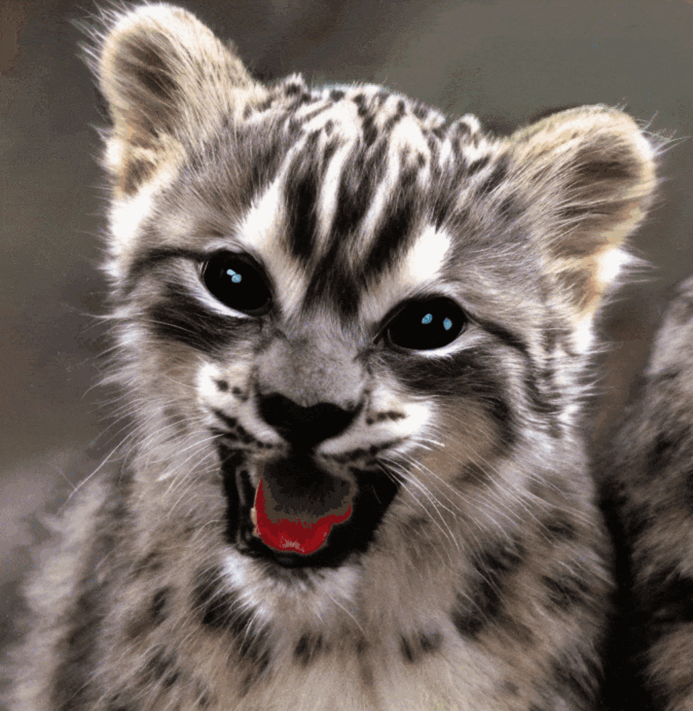 dstwo_Stable Diffusion 2.0 版本特性_Stable Diffusion 2.0 文本图像模型