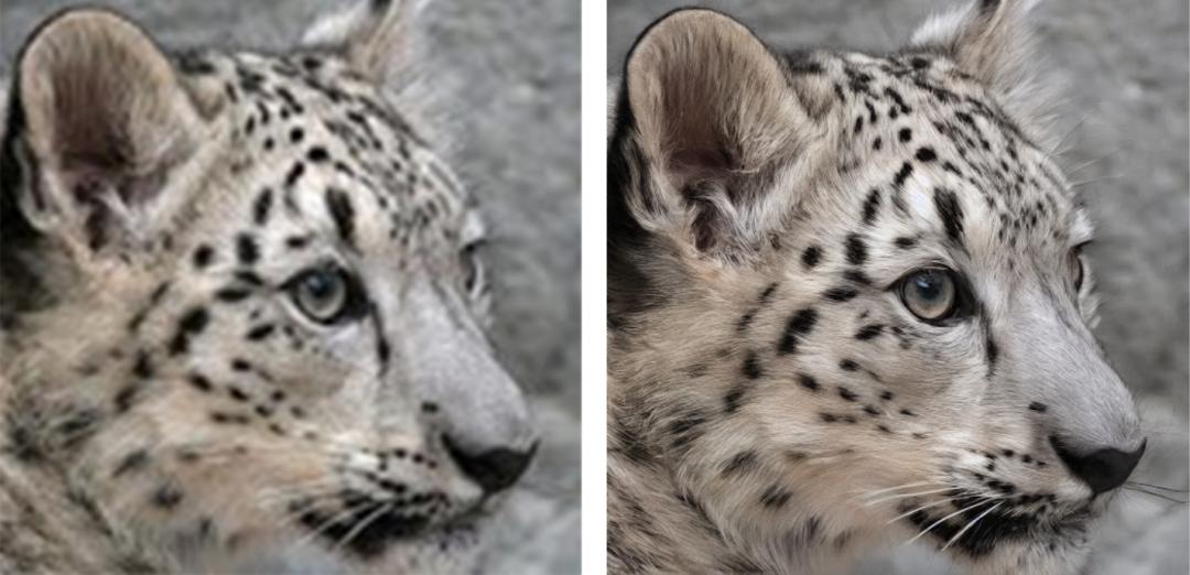 Stable Diffusion 2.0 文本图像模型_dstwo_Stable Diffusion 2.0 版本特性