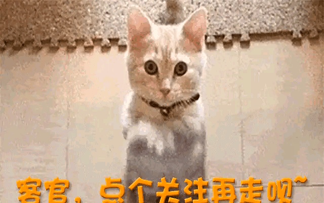 何炅视频_51岁何炅手抖穿线_国民暖男隐性衰老