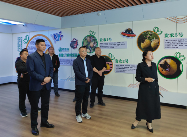 擦亮人大监督的“民生底色”——六盘水市人大常委会助力“幸福六盘水”建设纪实