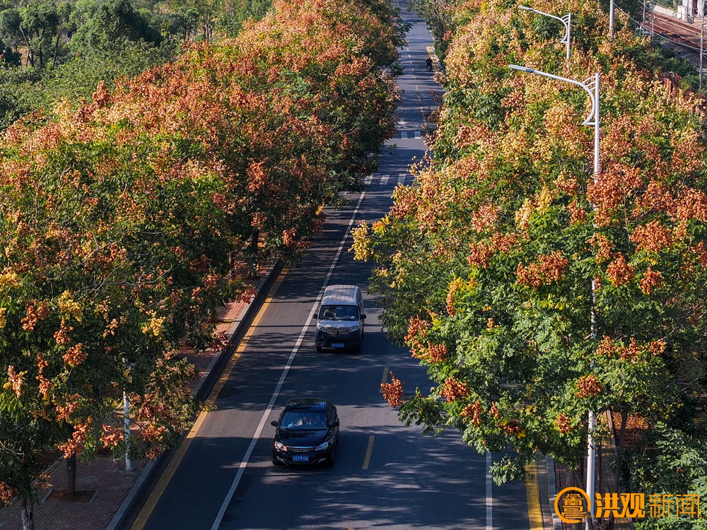南昌十天天气_南昌最长夏季记录_南昌入秋时间2023