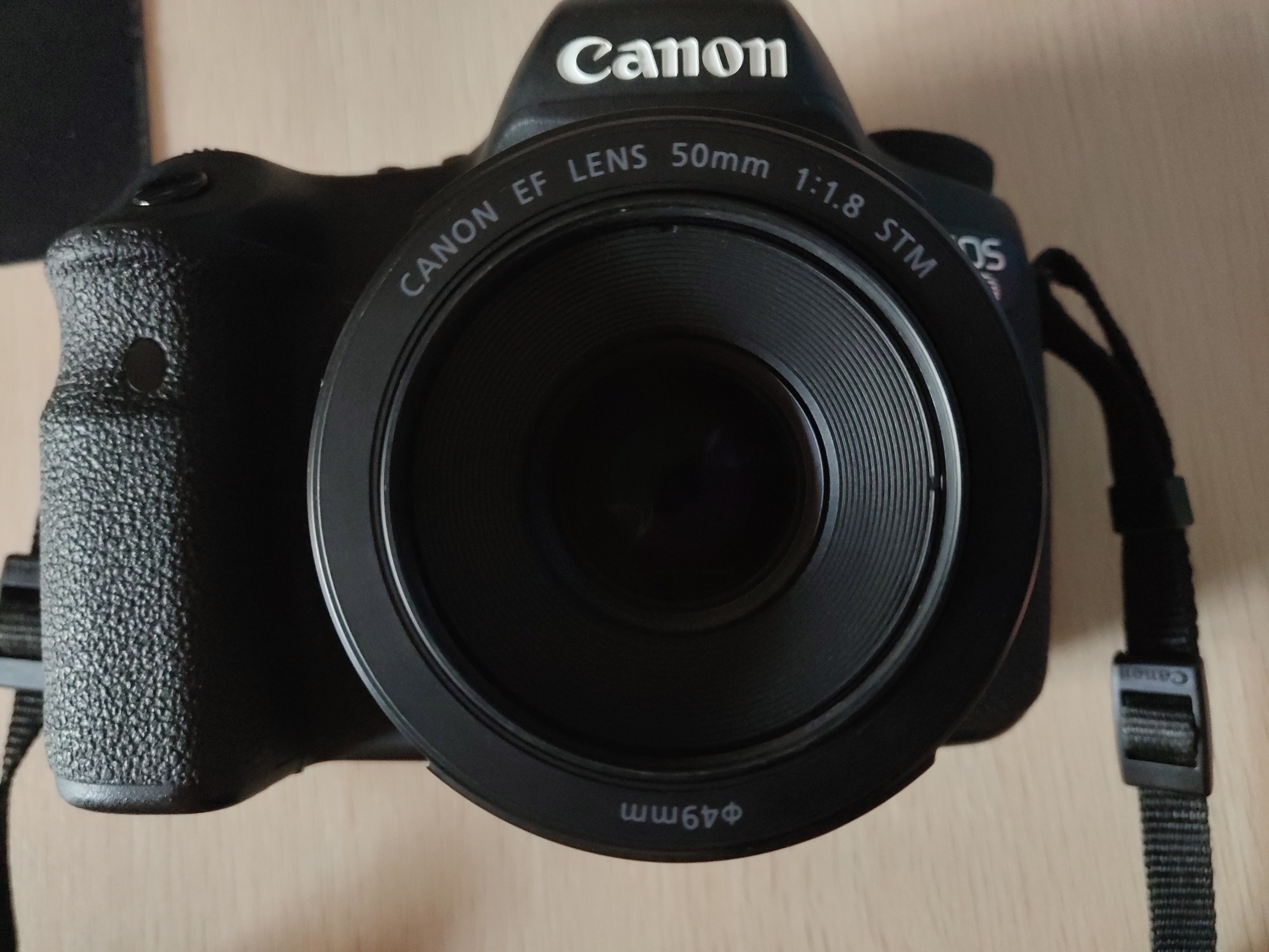 高性价比单反镜头_尼康佳能良心镜头推荐_尼康镜头金圈牛头