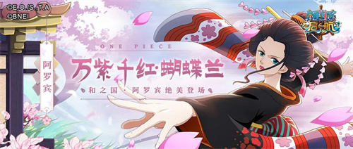 万紫千红蝴蝶兰 航海王启航阿罗宾绝美登场！