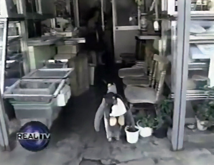 Lala企鹅购物故事_可爱企鹅逛街_企鹅大冒险