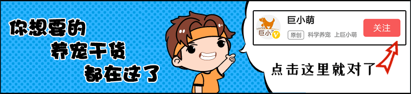 Lala企鹅购物故事_可爱企鹅逛街_企鹅大冒险