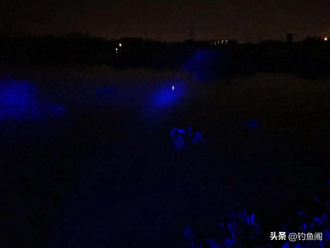 别再问轻口鱼怎么钓了！我只有这些“土办法”