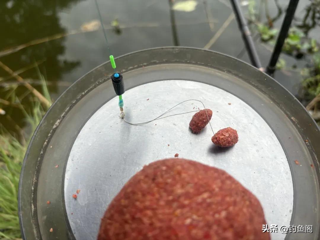 钓鱼鱼_换活饵钓法技巧_秋季钓鲫鱼轻口应对