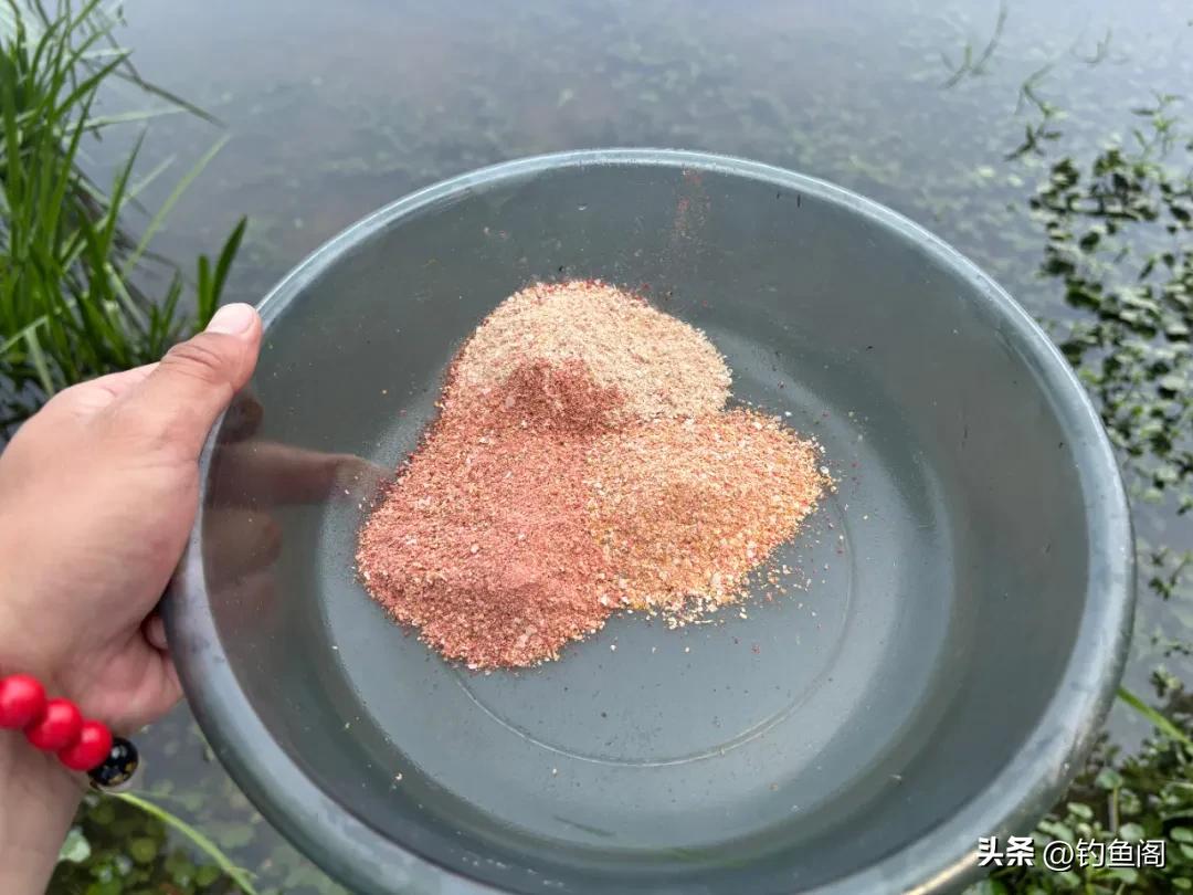 秋季钓鲫鱼轻口应对_钓鱼鱼_换活饵钓法技巧