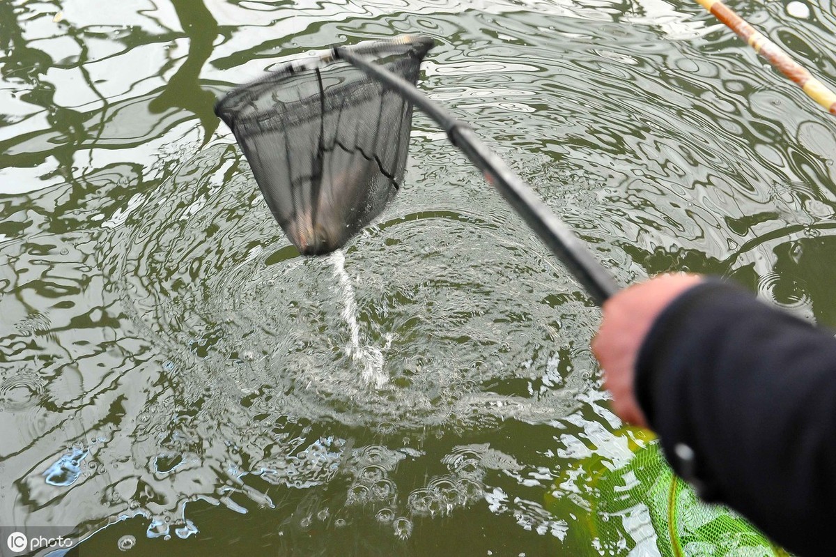 野钓技巧_野钓经验分享_钓鱼鱼