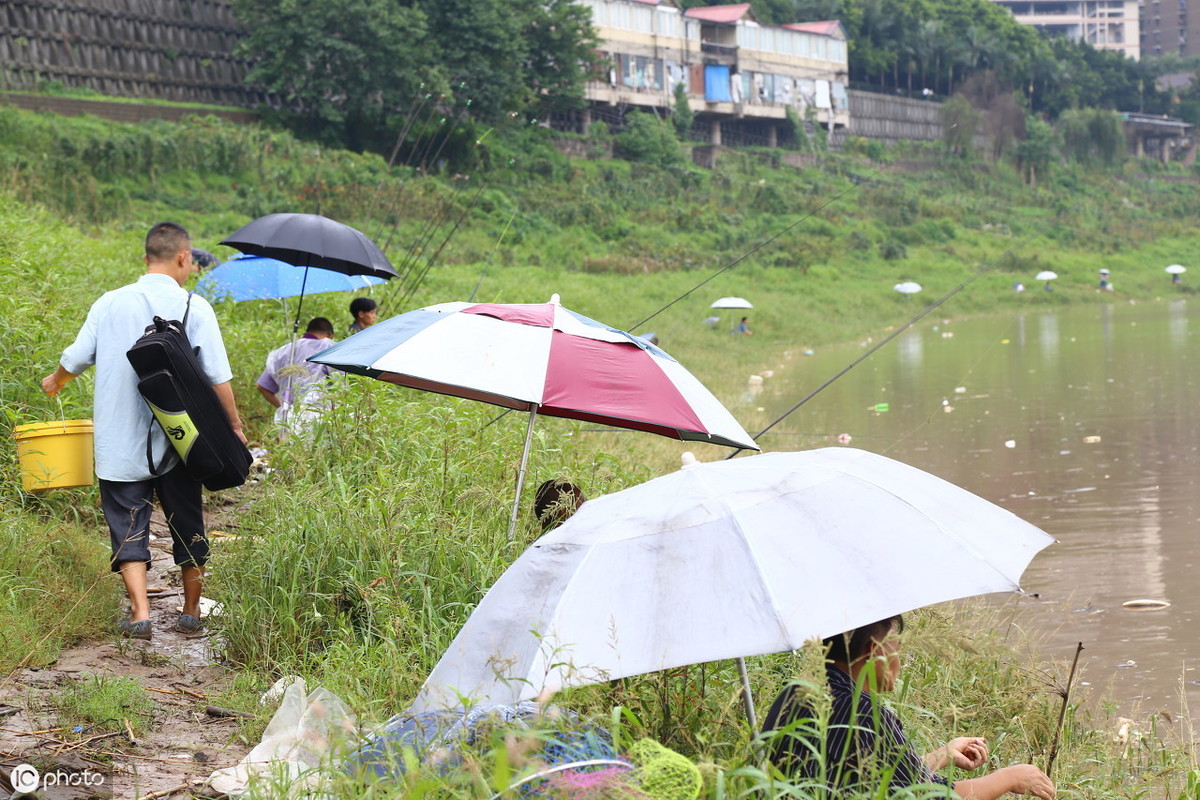 钓鱼鱼_野钓经验分享_野钓技巧