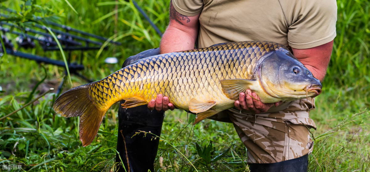 野钓经验分享_野钓技巧_钓鱼鱼