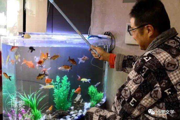 钓鱼鱼_老人钓鱼趣事_在家钓鱼