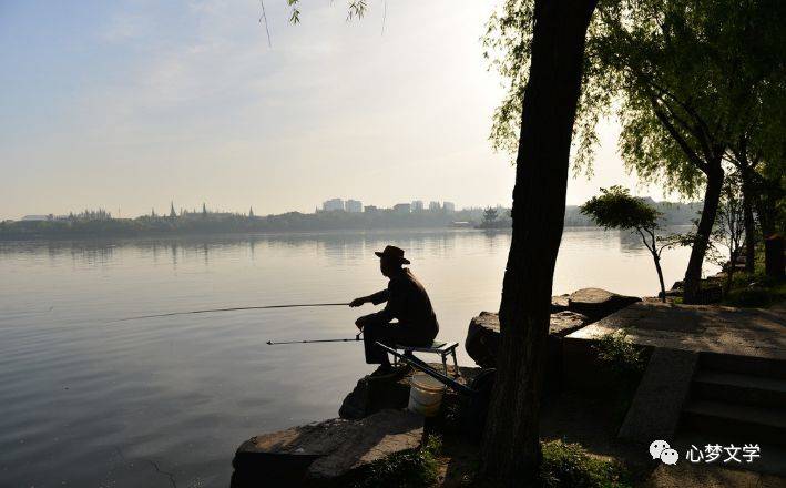 在家钓鱼_钓鱼鱼_老人钓鱼趣事