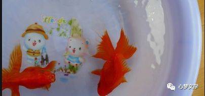 钓鱼鱼_老人钓鱼趣事_在家钓鱼