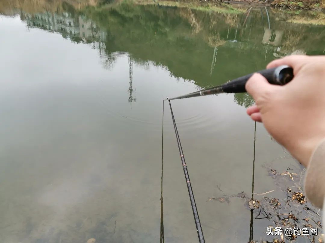 钓鱼中“七大未解之谜”，钓鱼人经常遇到但又没法解释