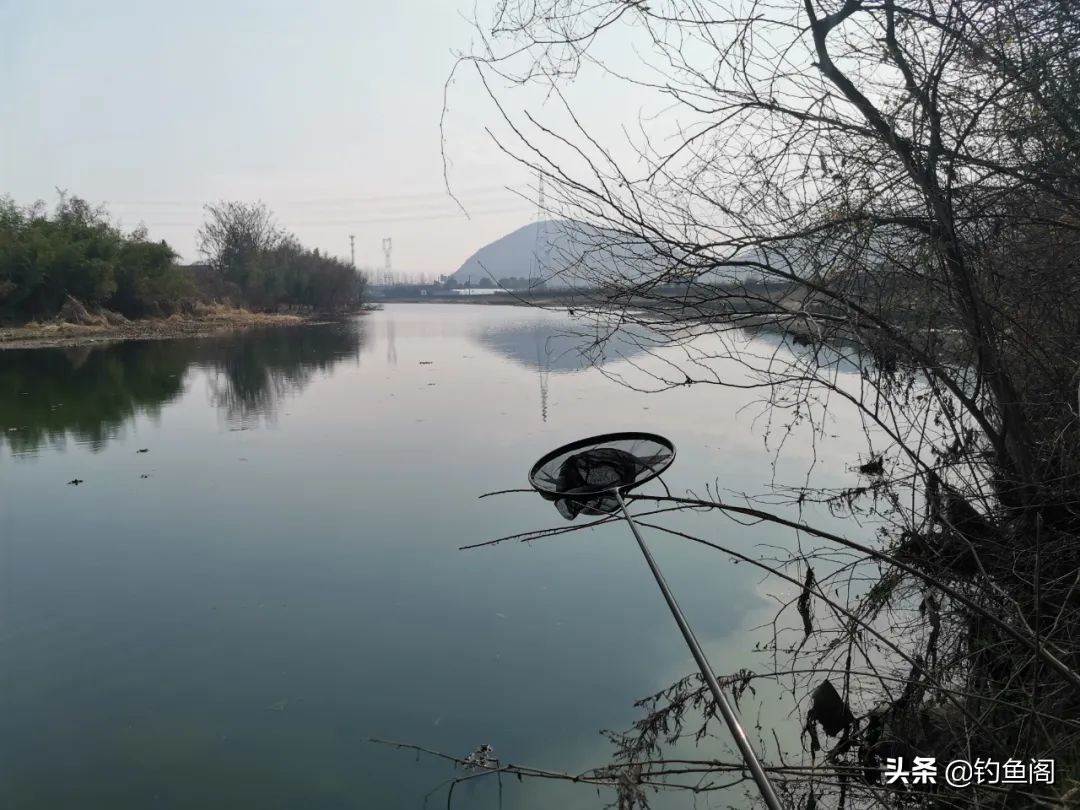 钓鱼未解之谜_钓鱼鱼_鱼在点烟时咬钩原因