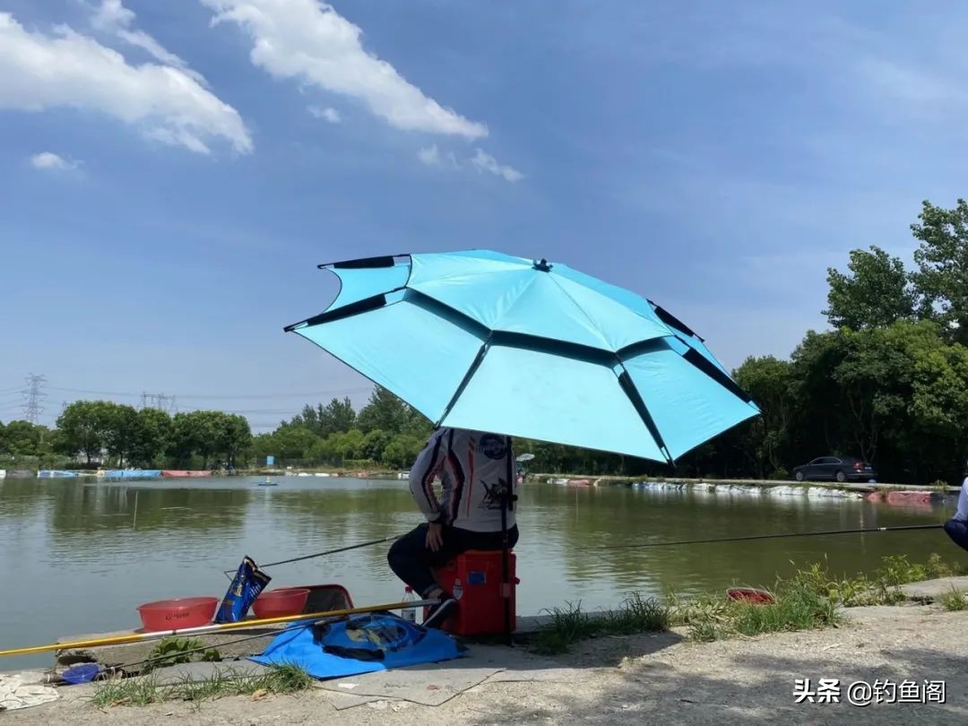 钓鱼未解之谜_鱼在点烟时咬钩原因_钓鱼鱼