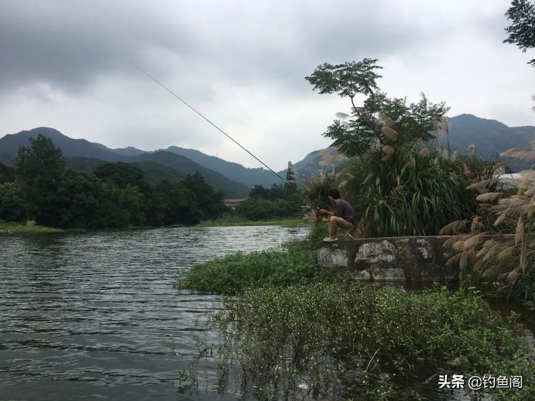 鱼在点烟时咬钩原因_钓鱼鱼_钓鱼未解之谜