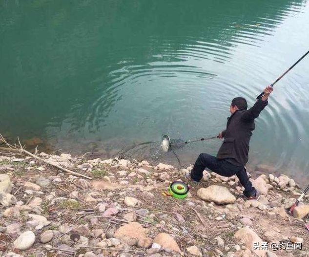 鱼在点烟时咬钩原因_钓鱼鱼_钓鱼未解之谜