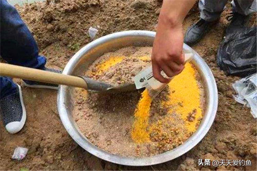 春末夏初钓大鱼技巧_钓鱼鱼_鲤鱼习性钓位窝料