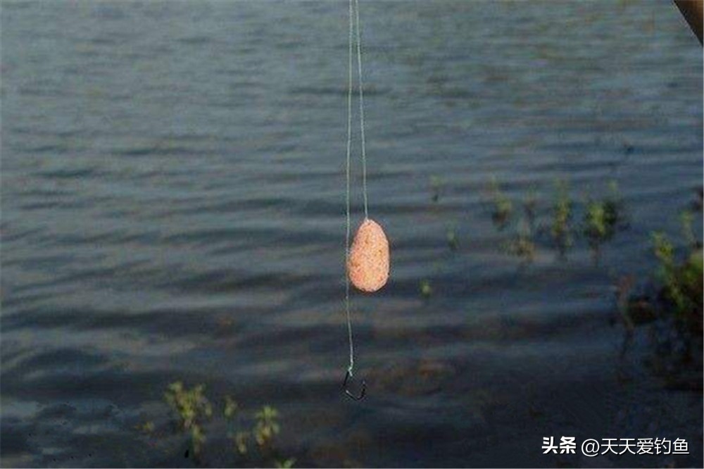 鲤鱼习性钓位窝料_春末夏初钓大鱼技巧_钓鱼鱼