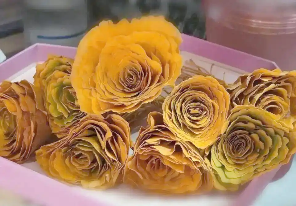 创意生活变废为宝活动_废物利用小制作信息报道_环保手工改造旧物