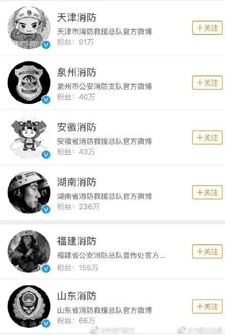 四川凉山救火英烈追悼会_给消防官兵感谢祝福_各地消防官微头像变灰色缅怀