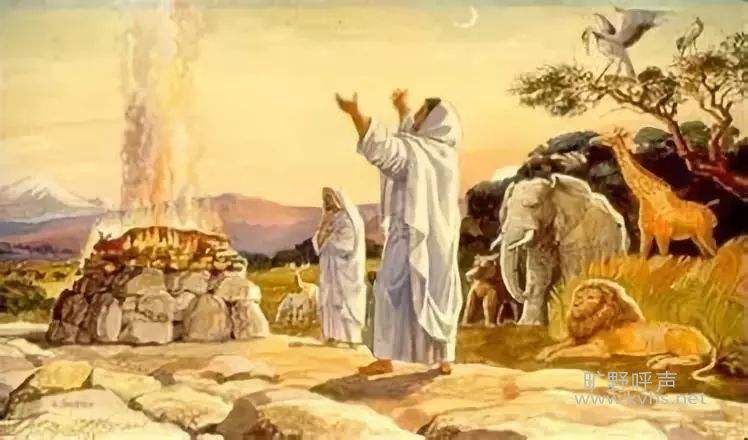 龟甲占卜方法_占卜历史发展_占卜