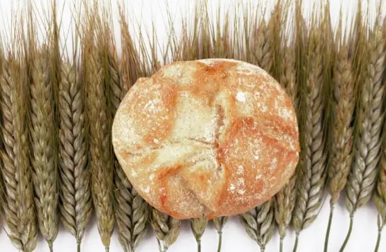 龟甲占卜方法_占卜_占卜历史发展