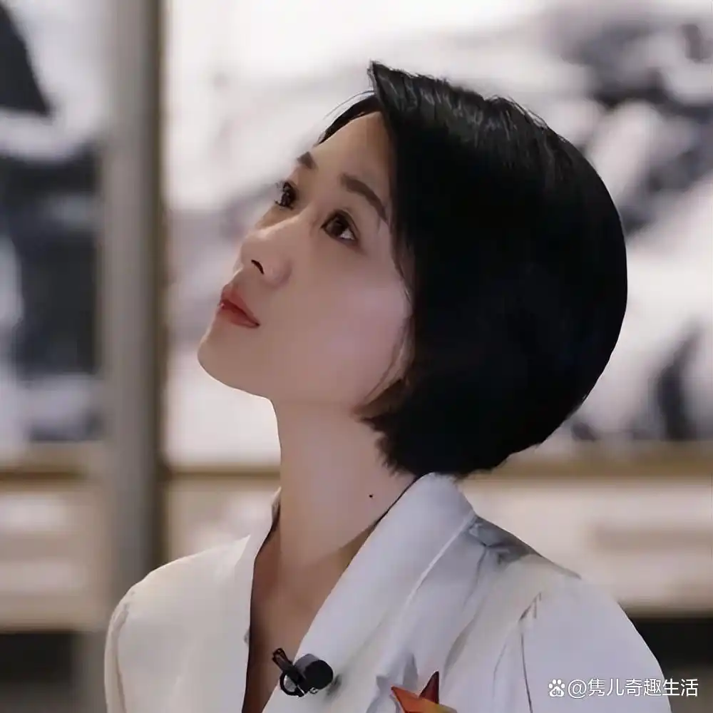 cctv13晚间新闻女主持人_央视美女主持人_董卿主持风格