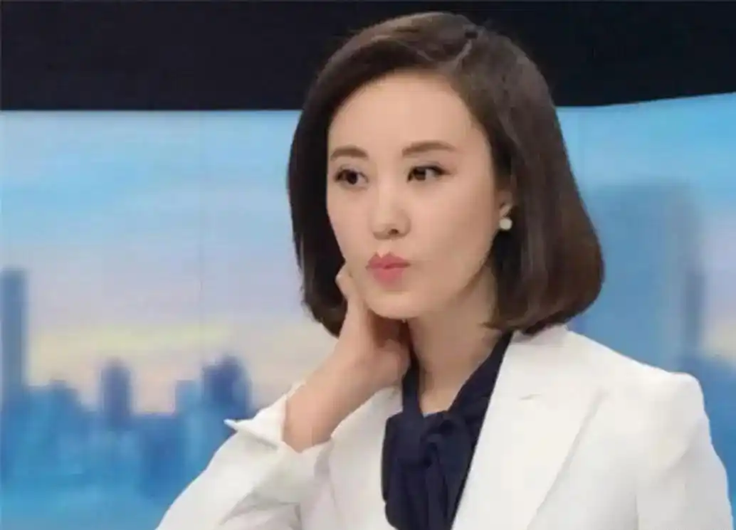 央视女主持人介绍_央视美女主持人排名_cctv13晚间新闻女主持人