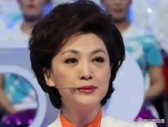 海霞主持生涯成就_cctv13晚间新闻女主持人_央视海霞个人经历