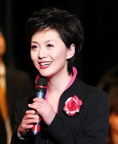 cctv13晚间新闻女主持人_海霞主持生涯成就_央视海霞个人经历