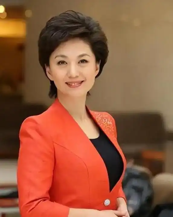 cctv13晚间新闻女主持人_央视海霞个人经历_海霞主持生涯成就