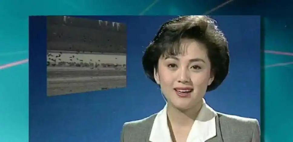 海霞主持生涯成就_cctv13晚间新闻女主持人_央视海霞个人经历