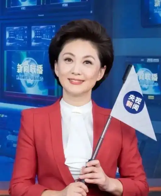 cctv13晚间新闻女主持人_央视海霞个人经历_海霞主持生涯成就