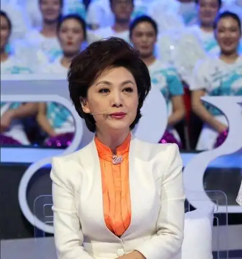 cctv13晚间新闻女主持人_央视海霞个人经历_海霞主持生涯成就