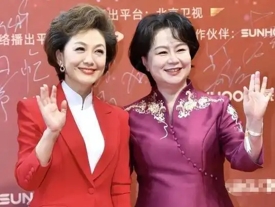 海霞主持生涯成就_cctv13晚间新闻女主持人_央视海霞个人经历