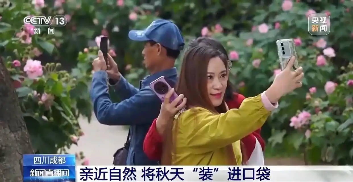 成都捡秋活动_“捡秋”有风险 尝鲜需谨慎_成都捡秋安全指南