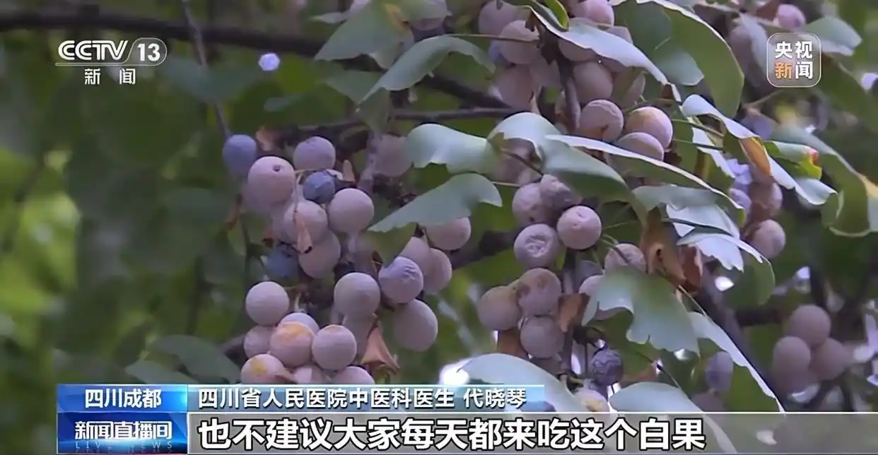 “捡秋”有风险 尝鲜需谨慎_成都捡秋安全指南_成都捡秋活动