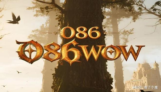 魔兽世界私服发展历程_魔兽世界职业介绍_魔兽世界私服不同版本形态特点